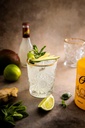 LièGin Jungle 0,5l - 40%vol