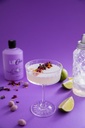 LièGin Violet 0,5l - 40%vol