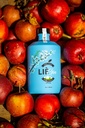LièGin Meurens 0,5l - 40%vol